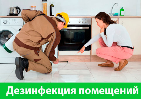 Дезинфекция офисов от коронавируса в городе Еманжелинск