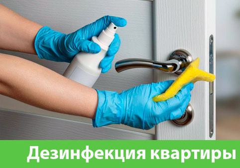 Дезинфекция квартиры в городе Еманжелинск