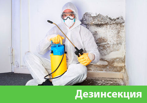 Дезинсекция в городе Еманжелинск