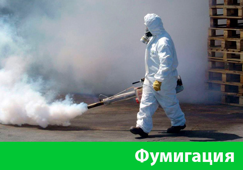 Фумигация в городе Еманжелинск