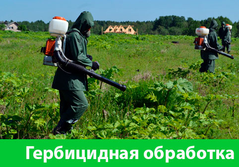 Гербицидная обработка в городе Еманжелинск
