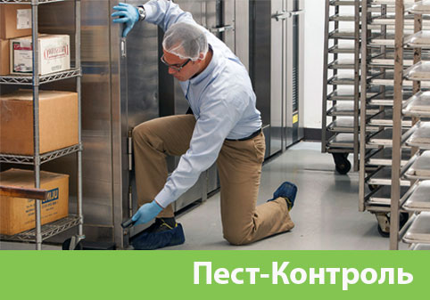 Пэст-Контроль в городе Еманжелинск