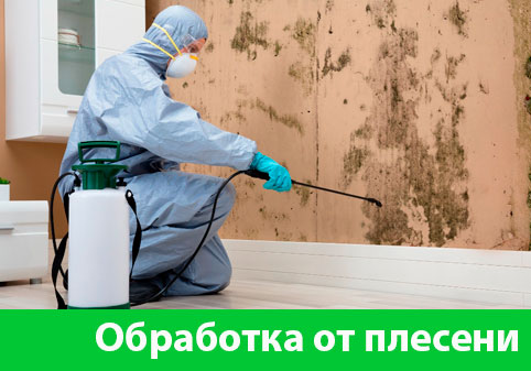 Обработка от плесени в городе Еманжелинск
