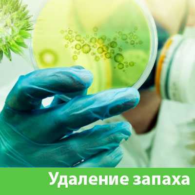 Удаление запахов в Еманжелинске