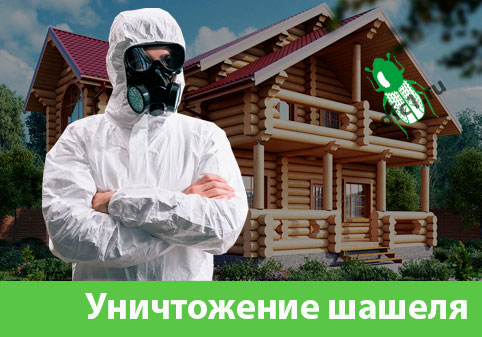 Уничтожение шашеля и личинок в Еманжелинске