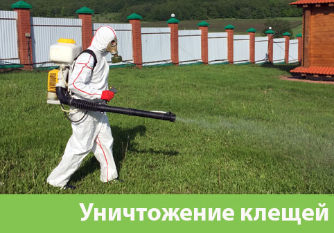 Уничтожение клещей в городе Еманжелинск