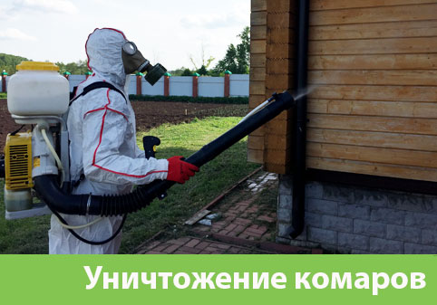Уничтожение комаров в городе Еманжелинск