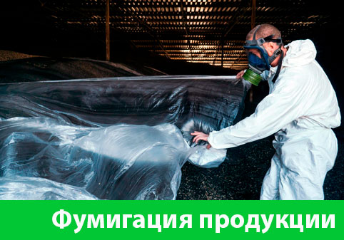 Фумигация продукции в городе Еманжелинск